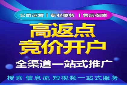 SEM竞价优化实战：提升转化率案例分析